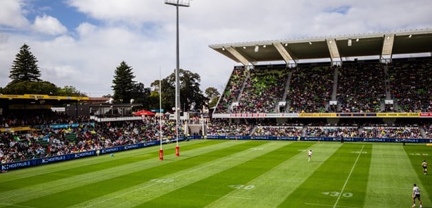 Perth Bears On Hunt For New Chief Executive Officer