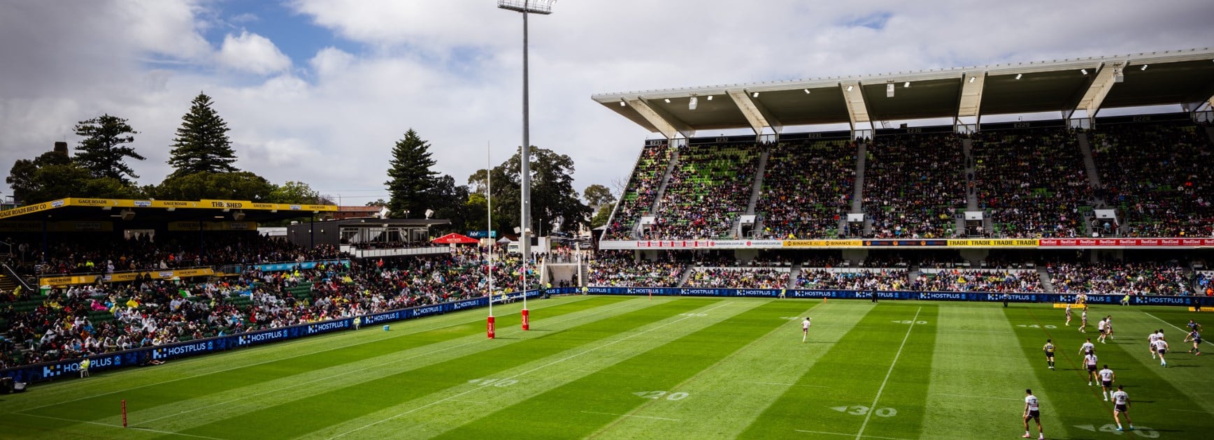 Perth Bears On Hunt For New Chief Executive Officer
