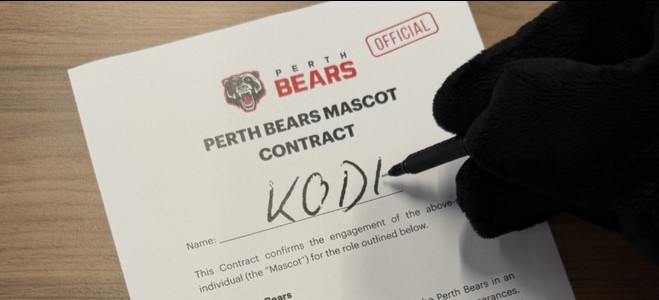 Welcoming 'Kodi': Perth Bears Unveil Mascot Name