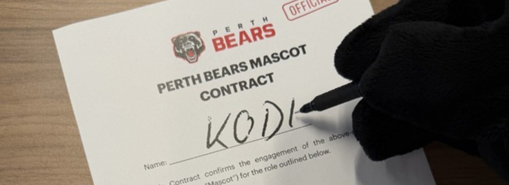 Welcoming 'Kodi': Perth Bears Unveil Mascot Name